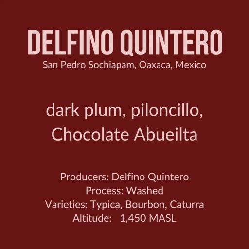 Delfino Quintero, Oaxaca, Mexico