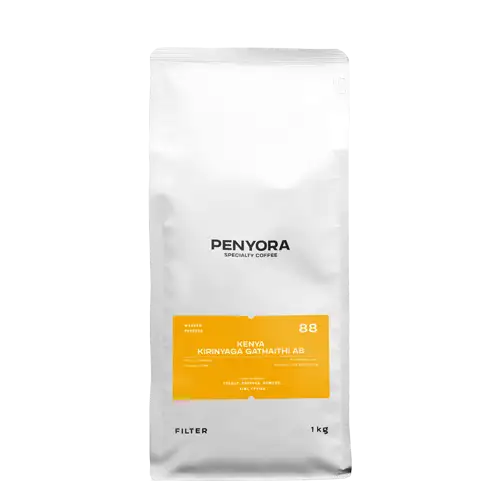 Kenya Kirinyaga Gathaithi AB Filter