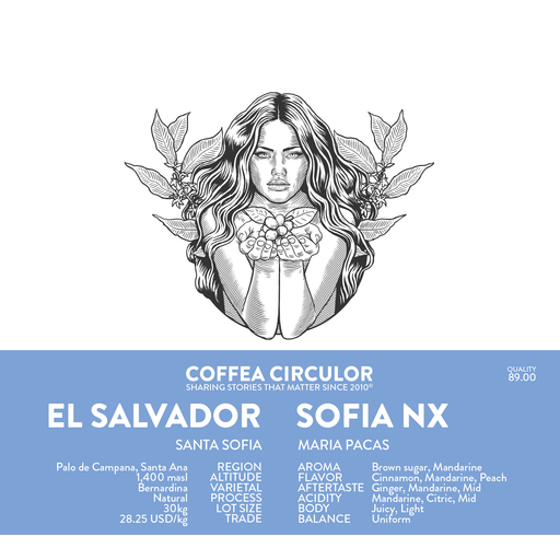 El Salvador Sofia Bernardina Natural NX