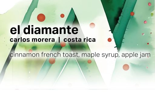 Carlos Morera El Diamante - Anaerobic Washed Caturra