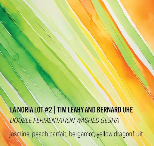 La Noria Lot #2 - Double Fermentation Washed Geisha