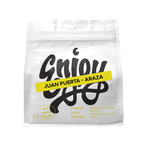 Juan Puerta Araza Osmotic Dehydration