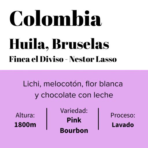 Colombia - Finca El Diviso - Pink Bourbon - Néstor Lasso