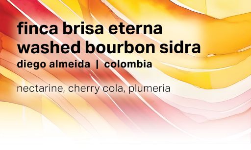 Diego Almeida Finca Brisa Eterna - Washed Bourbon Sidra