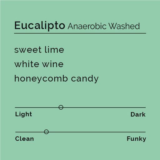 Eucalipto - Anaerobic Washed