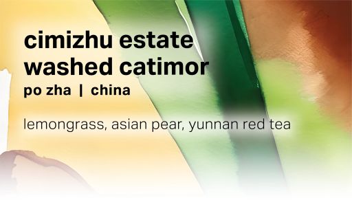 Cimizhu Estate Po Zha - Washed Catimor