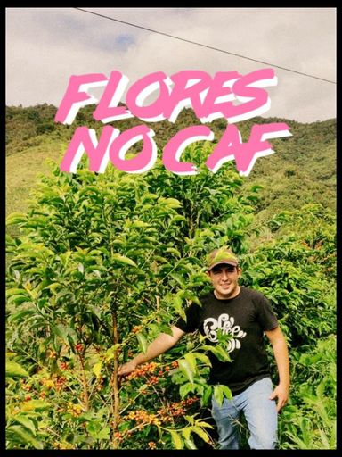 Las Flores | Colombia