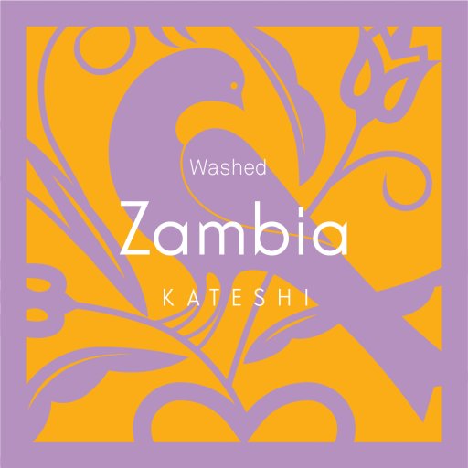 Zambia Kateshi