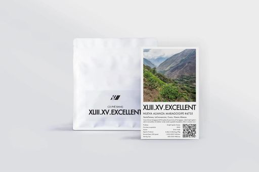 Nueva Alianza Maragogipe #4735