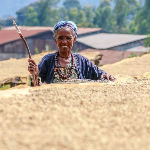 Äthiopien | Banko Gotiti