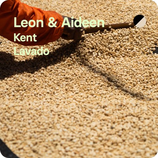 Leon & Aideen, Tanzania