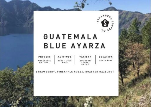 Guatemala Blue Ayarza Anaerobic Natural