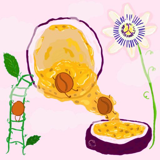 Purple Caturra - Passionfruit Co-Ferment Washed - Finca Monteblanco