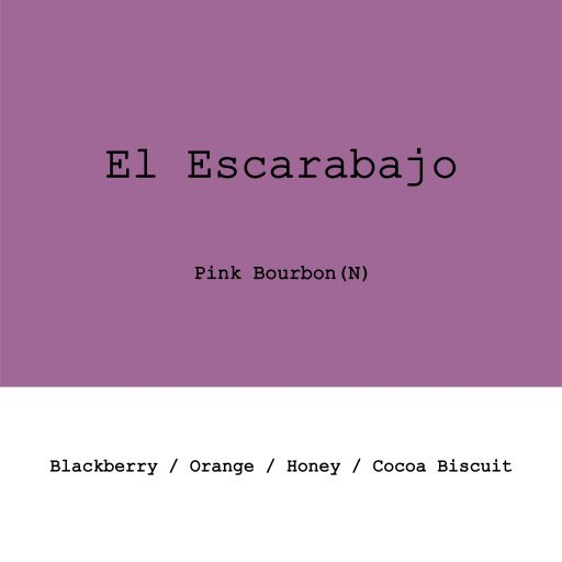 Colombia El Escarabajo Pink Bourbon Natural