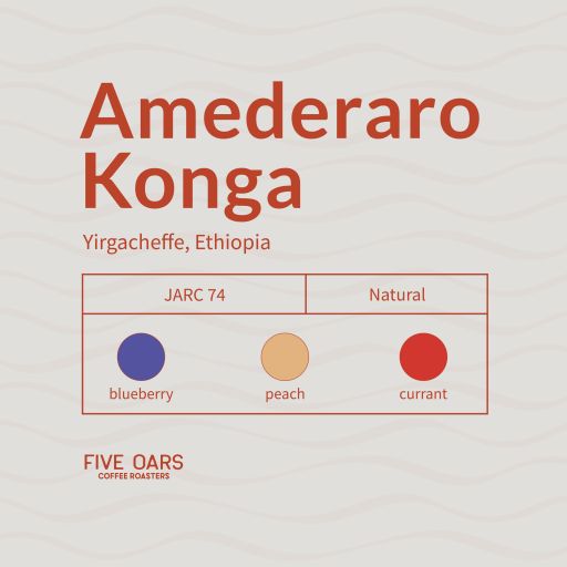 Amederaro Konga