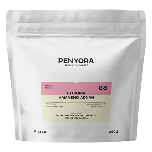 ETHIOPIA HAMASHO ADNAN FILTER