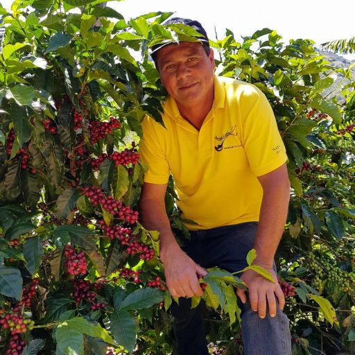 Costa Rica - Finca San Martin by Puente Micromill - Geisha Washed