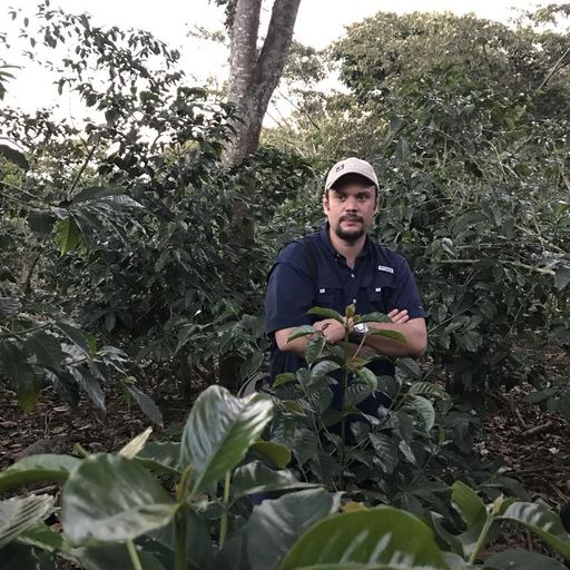 El Salvador Finca Las Brumas