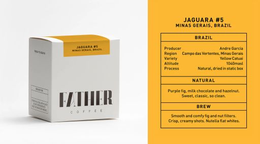 Jaguara #5 Natural, Minas Gerais, Brazil