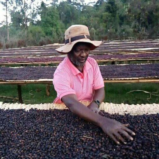 Ethiopia - Halo Hartumi - Birhanu Dido (Underscreen Selection) - CoE 2021 #19