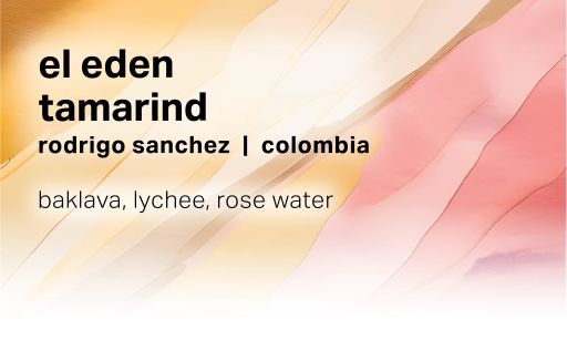 Rodrigo Sanchez El Eden - Tamarind Washed Purple Caturra Bourbon