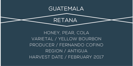 Guatemala Retana Yellow Bourbon