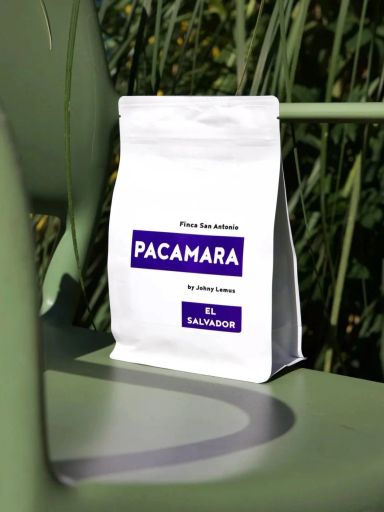 El Salvador Finca San Antonio Pacamara