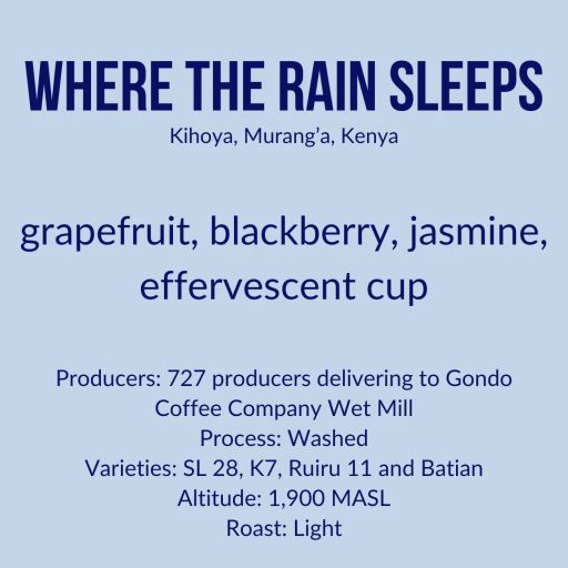 Where the Rain Sleeps, Gondo AB