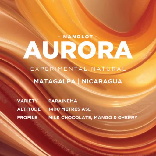 Nicaragua: Aurora Experimental