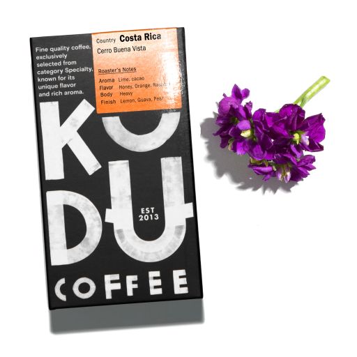 Costa Rica Cerro Buena Vista