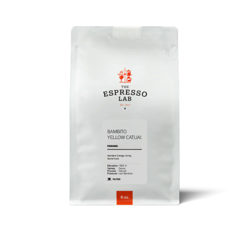 Bambito Yellow Catuai