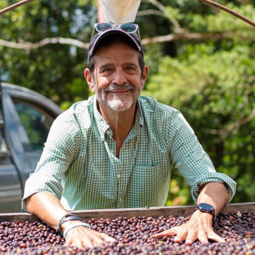 Panama - Auromar - Firestone Geisha