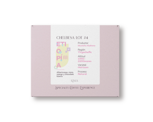 Chelbessa LOT#4. Café de Etiopía.