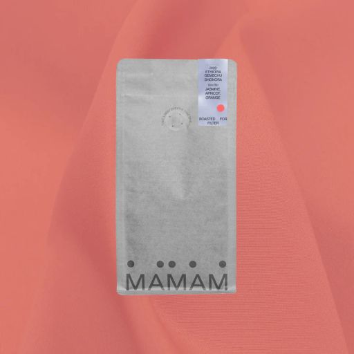 Ethiopia Gemechu Shonora - Filter