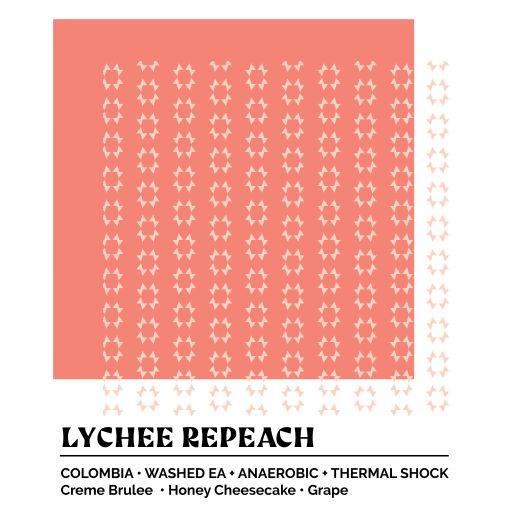 Epoch 12 - Lychee RePeach
