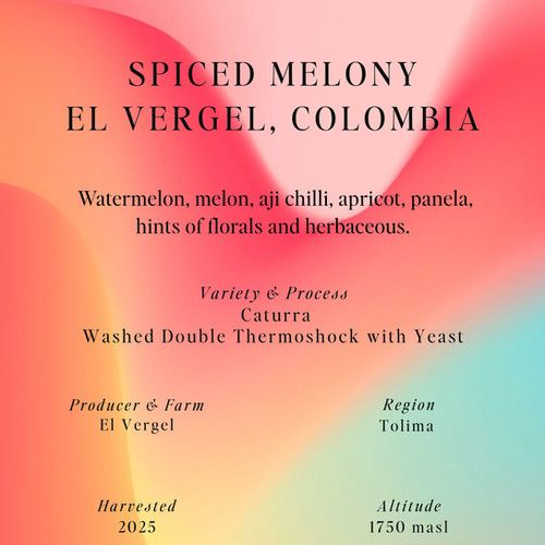 Espresso Spiced Melony, El Vergel, Colombia