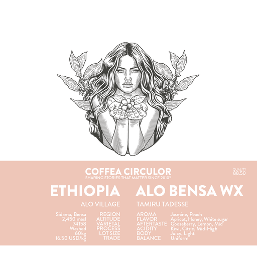 ETHIOPIA Alo Bensa Washed WX