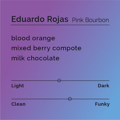 Eduardo Rojas - Pink Bourbon