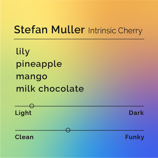 Stefan Muller - Intrinsic Cherry