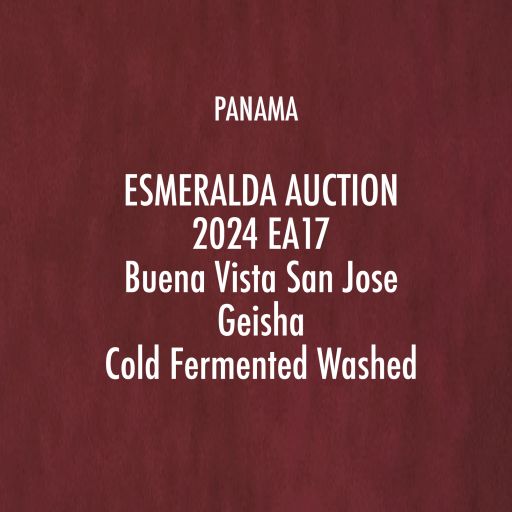 2024 EA17 Buena Vista San José Geisha Cold Fermented Washed