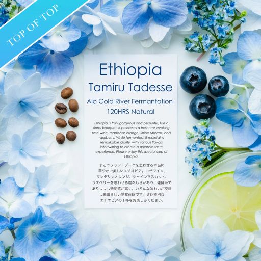 Tamiru Tadesse Alo Cold River Fermantation 120hrs Natural [floral bouquet]