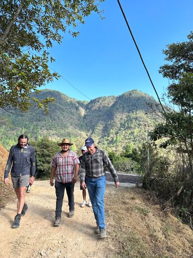 El Salvador La Hondurita Geisha
