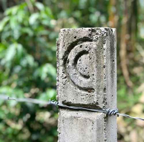 Finca Pocitos, Cosautlán, Veracruz - Natural Mundo Maya