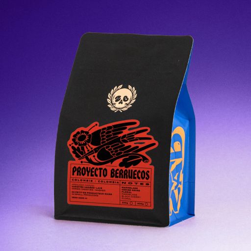 Colombia - Proyecto Berruecos