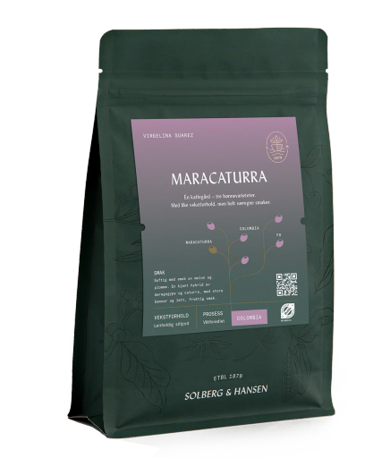 Virgelina Suarez - Maracaturra