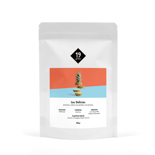 Las Delicias Javanica - Nicaragua Filter