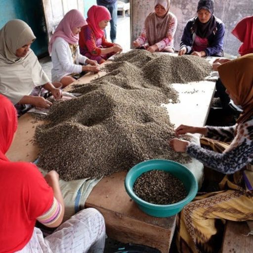 Sumatera - Koerintji Barokah Bersama - West Kerinchi Natural
