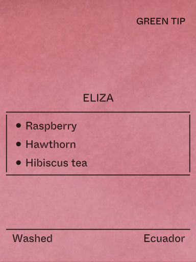 Ecuador - Eliza, Gesha