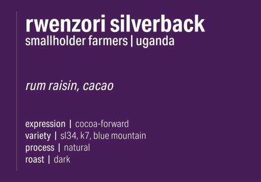 Rwenzori Silverback