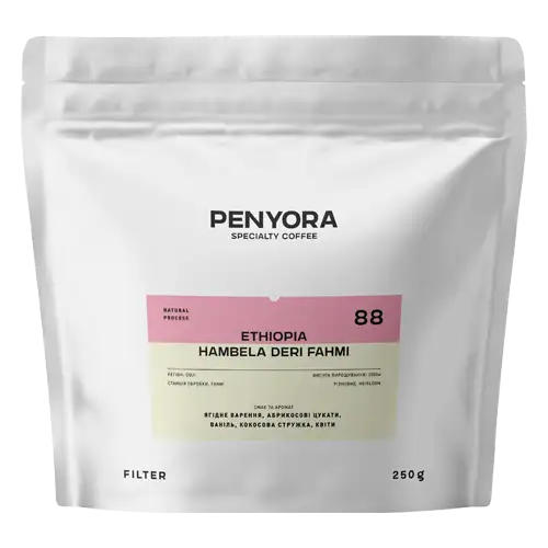 ETHIOPIA HAMBELA DERI FAHMI FILTER